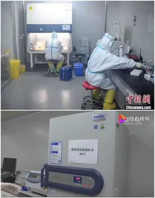 科技抗疫,海爾生物醫(yī)療用物聯(lián)網創(chuàng)新筑國家生物安全防線