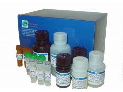 上海恒斐生物科技