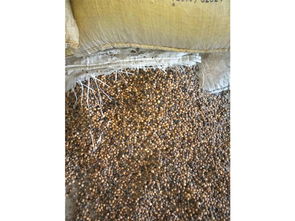 益生菌發(fā)酵大豆廠家,性價比高的受損大豆就在蔬香果語生物科技