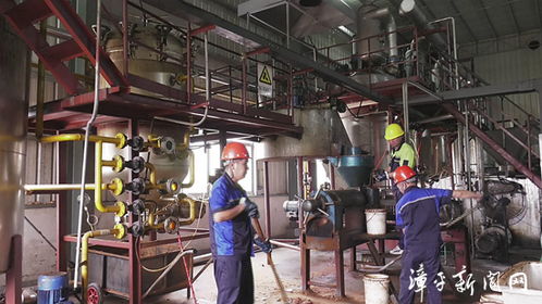 變廢為寶增效率,漳平推進資源節(jié)約促綠色發(fā)展