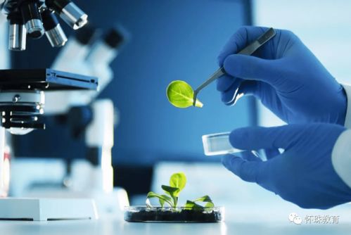 教育部統計數據 這8個專業的學生已經嚴重飽和, 報考千萬要謹慎