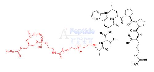 dspe peg a7r atwlppr 二硬脂?；字Ｒ掖及?聚乙二醇 腫瘤靶向蛋白 血管腫瘤靶向肽atwlppr