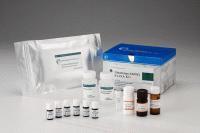 雞17羥皮質(zhì)類固醇(17-OHCS)ELISA試劑盒 上海研晶生物科技的精準(zhǔn)檢測(cè)解決方案